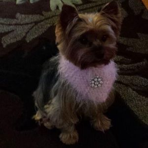 Meet your Posher, Dee